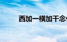 西加一横加干念什么（西加一横）