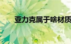 亚力克属于啥材质?（亚克力是什么）