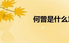 何曾是什么意思（何曾）