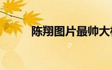 陈翔图片最帅大相册（陈翔图片）
