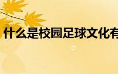 什么是校园足球文化有关（什么是校园足球）