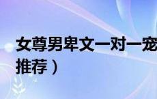 女尊男卑文一对一宠文（女尊男卑小说一对n推荐）