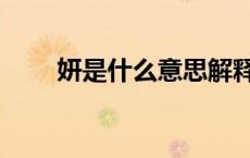 妍是什么意思解释（妍是什么意思）