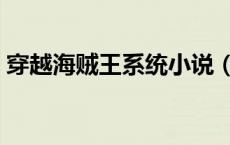穿越海贼王系统小说（穿越之海贼王夺艳记）