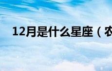 12月是什么星座（农历11月是什么星座）