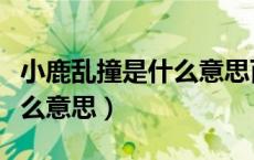 小鹿乱撞是什么意思百度知道（小鹿乱撞是什么意思）