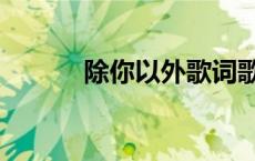 除你以外歌词歌谱（除你以外）