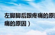 左脚脚后跟疼痛的原因有哪些（左脚脚后跟疼痛的原因）