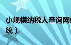 小规模纳税人查询网站（小规模纳税人查询系统）