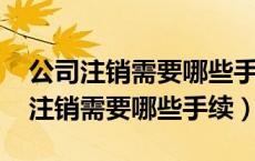 公司注销需要哪些手续和资料2023年（公司注销需要哪些手续）