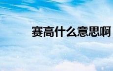 赛高什么意思啊（赛高什么意思）