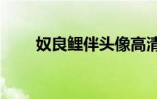 奴良鲤伴头像高清图片（奴良鲤伴）
