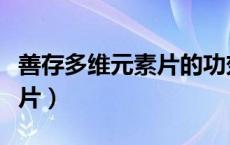 善存多维元素片的功效与作用（善存多维元素片）