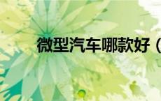 微型汽车哪款好（微型汽车哪个好）