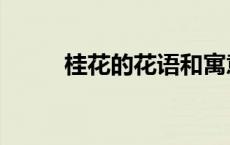 桂花的花语和寓意（桂花的花语）