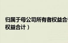 归属于母公司所有者权益合计是什么（归属于母公司所有者权益合计）