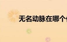无名动脉在哪个位置（无名动脉）