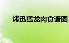 烤迅猛龙肉食谱图（烤迅猛龙肉食谱）