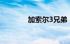 加索尔3兄弟（加索尔兄弟）