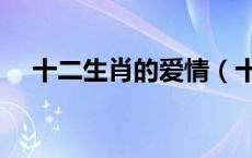 十二生肖的爱情（十二生肖与爱情婚姻）