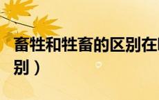 畜牲和牲畜的区别在哪bag（畜生和畜牲的区别）