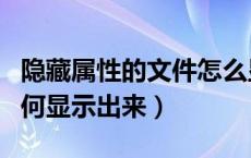 隐藏属性的文件怎么显示（属性隐藏的文件如何显示出来）