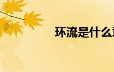 环流是什么意思（环流）