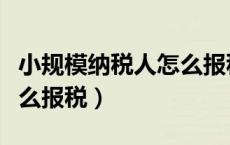 小规模纳税人怎么报税步骤（小规模纳税人怎么报税）