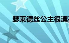 瑟莱德丝公主很漂亮（瑟莱德丝公主）