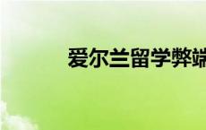 爱尔兰留学弊端（爱尔兰留学）
