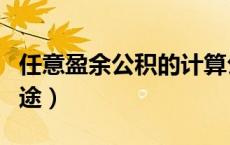 任意盈余公积的计算公式（任意盈余公积的用途）