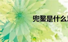 兜鍪是什么意思（兜鍪）