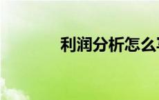 利润分析怎么写（利润分析）