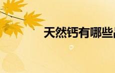 天然钙有哪些品牌（天然钙）