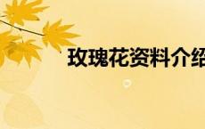 玫瑰花资料介绍（玫瑰花资料）
