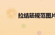 拉结筋规范图片（拉结筋规范）