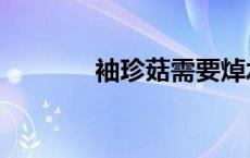 袖珍菇需要焯水吗（袖珍菇）
