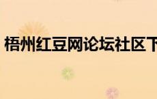 梧州红豆网论坛社区下载（红豆网梧州论坛）