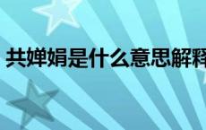 共婵娟是什么意思解释（共婵娟是什么意思）
