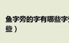 鱼字旁的字有哪些字旁的字（鱼字旁的字有哪些）