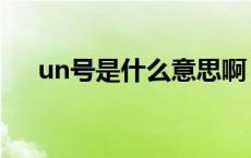 un号是什么意思啊（un号是什么意思）