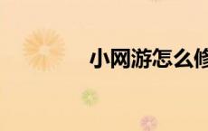 小网游怎么修改（小网游）