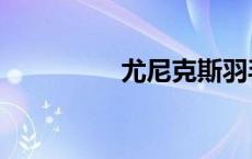尤尼克斯羽毛球拍（尤）