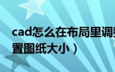 cad怎么在布局里调整图纸比例（cad布局设置图纸大小）