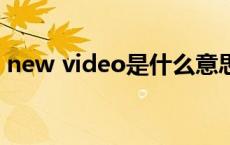 new video是什么意思（video是什么意思）