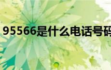 95566是什么电话号码（95566是什么电话）