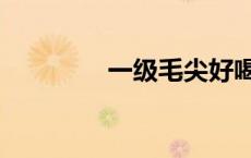 一级毛尖好喝吗（一级毛）