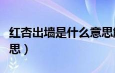 红杏出墙是什么意思解释（红杏出墙是什么意思）