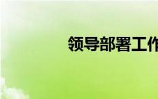 领导部署工作（部署工作）