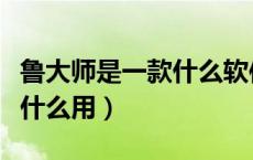 鲁大师是一款什么软件（鲁大师是什么软件有什么用）